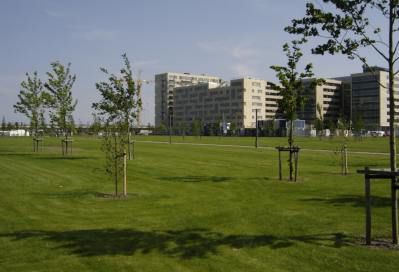 Nybyggere i grøn metropol