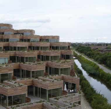 Plot-arkitekter får Træprisen