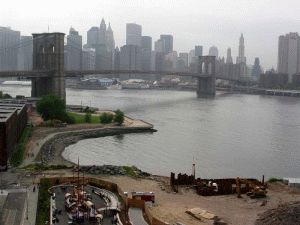 Skanska sår græs i New York