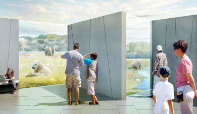 Zoo bygger nyt til isbjørnene