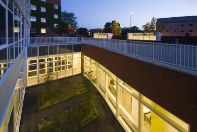 Nyt center for hjerneforskning