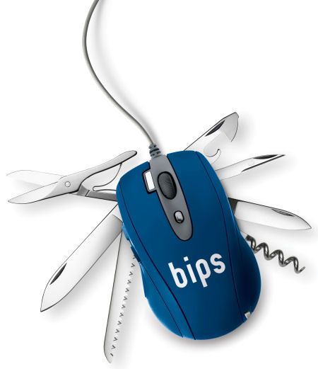 bips konference 2010